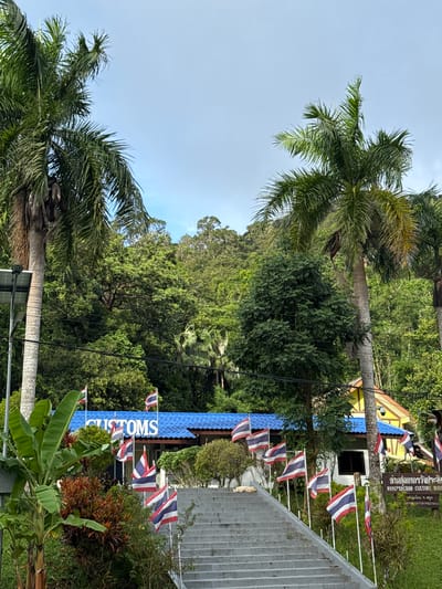 The image captures the exterior of the Hangprachan Customs House in Tambon Wang Prachan, Thailand. A wide, concrete staircase leads up to the building, which features a bright blue, tiled roof and yellow walls. The word "CUSTOMS" is prominently displayed in large blue letters on the building's facade. Numerous Thai flags are planted along the sides of the staircase and in front of the building, fluttering in the breeze. Lush green vegetation, including palm trees and various shrubs, surrounds the structure and extends up a densely forested hillside in the background. The sky is partly cloudy with a pale blue hue. A solar-powered street lamp is visible on the left side of the image, mounted on a pole.