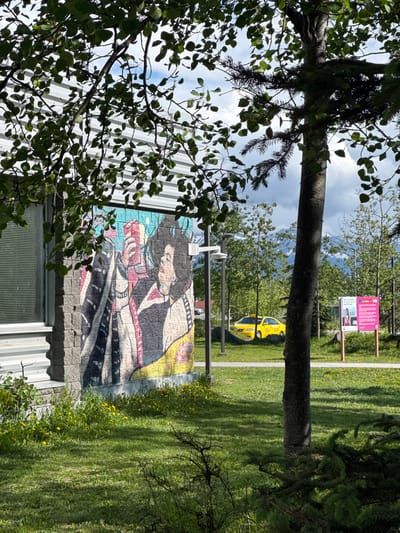The image captures a mural on the side of a building in Anchorage, Alaska. The mural depicts a person with dark hair, wearing a patterned garment, and holding a red object. The building's exterior is a mix of corrugated metal and stone block construction. In the background, a yellow taxi is parked on a paved area. Beyond the taxi, trees line the landscape, leading to a distant mountain range capped with snow. Two pink informational signs are visible on wooden posts in the middle ground. The foreground is a grassy area with scattered yellow wildflowers, and a large tree trunk stands prominently in the right half of the frame, partially obscuring the view of the background. Overcast skies with patches of blue and white clouds are present overhead.