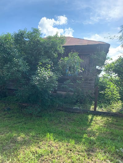 The image shows a rustic wooden building partially obscured by lush green foliage. The building appears to be an old house or shed with weathered wooden walls and a corrugated metal roof. A partially visible blue window is set into one of the walls. The building is surrounded by dense vegetation, including trees and bushes, and the ground in front of it is covered in green grass. In the background, a partly cloudy blue sky is visible. The scene suggests a rural or overgrown setting, possibly on the outskirts of a settlement. The presence of a single metal post to the right of the building hints at a fence or support structure. No people or specific activities are depicted. The overall impression is one of a neglected but still standing structure amidst a thriving natural environment.