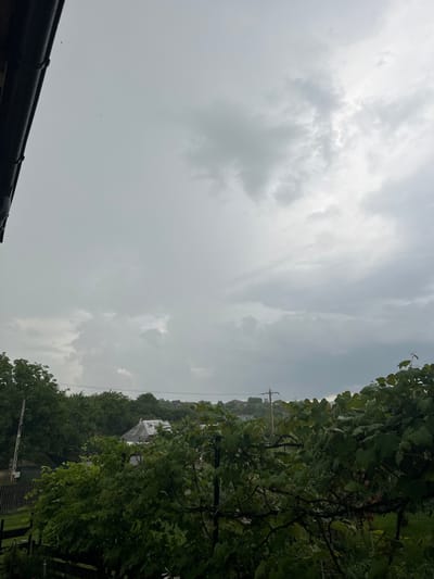 The image depicts an overcast sky with dramatic clouds, suggesting impending or ongoing rain. The view is angled, with the top of the frame dominated by the cloudy expanse. On the right side of the frame, lush green foliage, likely from a vine or tree, cascades downwards, partially obscuring the background.

Below the foliage, a more distant view reveals a hilly landscape covered in dense trees. Some houses with visible roofs can be seen nestled amongst the trees, and a power line with poles stretches across the scene. The weather appears to be gloomy and possibly humid.

In the foreground, a dark, curved object, likely a gutter or the edge of a roof, runs along the bottom left of the image. Tiny specks, possibly insects or raindrops, are visible against the sky in several areas.

The scene is set in Târgu Neamț, Romania, and the overall mood is somber and natural, dominated by the elements and the surrounding greenery. No discernible text is present in the image. The time of day is not explicitly indicated but the lighting suggests daytime, though the heavy cloud cover makes it appear dim.