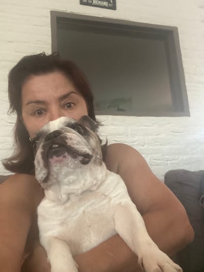 A middle-aged woman with brown hair and wide eyes is holding a white and brindle English Bulldog. The dog's head is resting on the woman's chest, and its mouth is slightly open. They are indoors, with a white brick wall and a framed picture visible in the background. The scene suggests a casual, domestic setting. The image does not contain any specific details that would allow for identification of its location in Steenwijk, Netherlands.