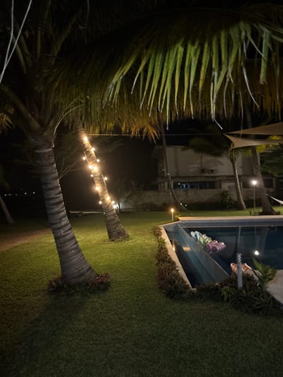 A nighttime scene shows a palm tree with its fronds obscuring the left side of the frame. String lights illuminate the palm trunk, stretching towards the right. Beyond the palm tree, a pool is visible, bordered by a wall and some greenery. In the background, a building stands, partially lit. Grass covers a significant portion of the ground to the right of the palm trees.