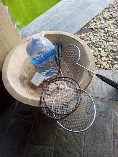 The image shows a large bottle of "aQuelle Natural Spring Water" standing upright in a weathered, circular concrete basin. Beside the water bottle, resting in the basin, are three badminton rackets. Two of the rackets are partially visible, with their frames and strings showing. The third racket, positioned slightly below the others, has a white frame and is more fully visible. There is a small, white, plastic cup or scoop in the basin, filled with what appears to be ice. The basin is situated on a dark, tiled patio. In the background, a vibrant green pool of water is visible, bordered by dark grey tiles and then a scattering of natural stones. The overall environment suggests an outdoor recreational area, possibly a poolside or garden space. The location is identified as Midrand, South Africa.