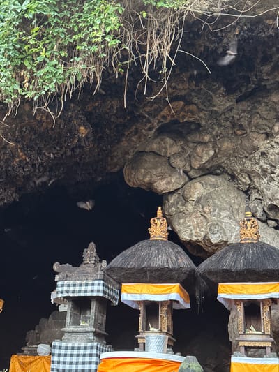 In Dawan, Indonesia, a cave entrance is partially obscured by lush green foliage and hanging vines. Several small, dark bats are visible flying within the cave's dark interior. In the foreground, three elaborately decorated miniature shrines are positioned. These shrines have dark, thatched roofs topped with golden finials. Each shrine features a small opening, adorned with intricate gold carvings, and a white and orange checkered cloth. One shrine is flanked by a grey stone structure also decorated with the checkered cloth. The scene is illuminated by ambient light, highlighting the textures of the cave walls and the decorative elements of the shrines.