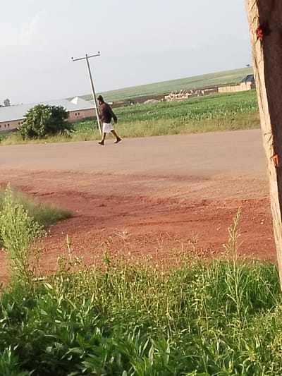 A lone person walks on a paved road, carrying a long, slender object that resembles a utility pole. The person is wearing a dark jacket and white shorts, and is moving from left to right across the frame. The road appears to be in a rural or semi-rural area, with red dirt and vegetation on either side. In the background, there are fields of green crops and some buildings. A large utility pole stands in the middle ground, leaning slightly to the right. The sky is bright and clear, suggesting daytime with good weather. The overall scene depicts a person engaged in an unusual task, potentially related to infrastructure maintenance or construction, in a sunlit, open environment. There is no visible text in the image.