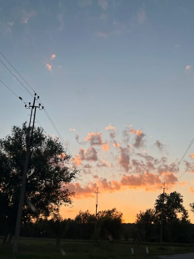 A vertical, medium shot captures a serene sunset scene over a rural landscape in Hrabovets, Ukraine. The sky transitions from a pale blue at the top to a warm orange glow near the horizon, illuminated by scattered clouds tinged with pink and orange. In the foreground, silhouetted trees and power lines dominate the scene. A prominent utility pole with insulators and wires stands on the left, adjacent to a large, dark green tree. Another utility pole is visible to the right of the frame, also silhouetted against the sky. A line of trees forms a dark horizontal band across the middle ground, suggesting a wooded area or tree line. The lower portion of the image shows a dark, grassy foreground, possibly a roadside or field, with faint details of white markers. The overall atmosphere is peaceful and natural, highlighting the beauty of the Ukrainian countryside at dusk.