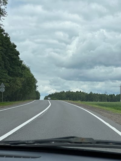 The image depicts a two-lane asphalt road with white markings, curving slightly to the right as it recedes into the distance. On the left side of the road, a dense line of green trees forms a backdrop, and a signpost with two circular signs is visible near the roadside. On the right side of the road, a green field stretches out, bordered by a line of trees and several utility poles with wires. The sky is overcast with thick, grey clouds. A light-colored car is visible in the distance, driving on the road. The perspective suggests the image was taken from inside a vehicle, with the windshield and wiper blades partially visible in the foreground. The scene appears to be in a rural or semi-rural area.