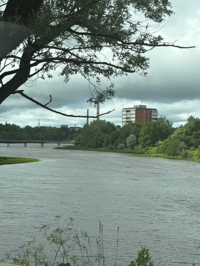 The image depicts a landscape scene with a body of water in the foreground, a dense line of trees behind it, and a multi-story building in the distance. A large tree with bare branches is prominently featured in the left foreground, obscuring parts of the background. The water's surface is textured with ripples, suggesting a gentle breeze. Beyond the trees, the building appears to be a residential or office complex with multiple windows and a brick facade. The sky is overcast and cloudy, indicating a possibly gloomy or overcast day. There is a bridge-like structure spanning across the water in the middle ground. The overall mood is calm and serene, with a touch of nature's raw beauty contrasted against the man-made structure. There is no visible text in the image. The time of day appears to be daytime, given the overcast sky. The location is identified as Sillamäe linn, Estonia.