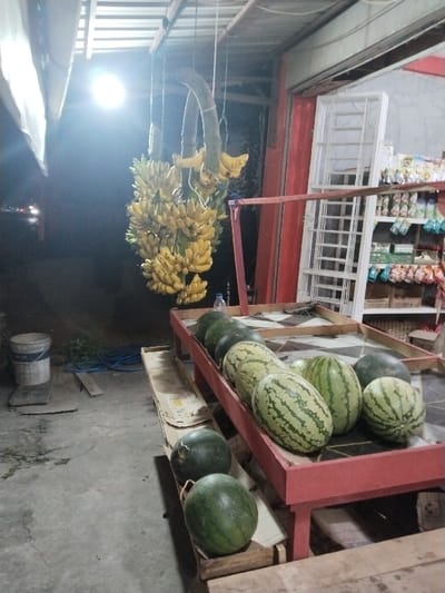 This image captures a nighttime scene at an outdoor fruit stall or shop entrance in Aceh Harbor, Indonesia. A substantial cluster of ripe yellow bananas, suspended by ropes from an overhead metal framework, dominates the upper-left quadrant. To the right, a red-painted, two-tiered display stand holds numerous watermelons; the upper tier contains approximately seven to eight watermelons, varying between dark green and striped varieties, with one clear plastic bottle also present. At least two additional dark green watermelons rest on the lower tier, supported by cardboard and wooden planks.
The background on the right reveals a shop interior with a white metal shelving unit stocked with assorted packaged goods and snacks. The ground is concrete, featuring a white and blue bucket, a coiled blue hose, and loose wooden planks on the left side. A bright, unshielded artificial light source, located above and to the left of the bananas, illuminates the foreground, causing the distant background to remain largely dark. No individuals are visible in the scene.