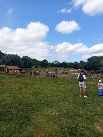 The image depicts a rural scene in Azannes-et-Soumazannes, France, likely a historical reenactment or a farm attraction, under a partly cloudy blue sky. In the foreground, two individuals stand on a grassy field. A man wearing a white t-shirt, grey shorts, and a black backpack faces away from the camera, looking towards a fenced enclosure. To his right, a young girl in a pink jacket and a blue dress stands facing the same direction.
The enclosure in the mid-ground contains several people, wooden fences, and animals. A brown horse is visible within the enclosure, and further back, a building with a terracotta tiled roof and stone walls stands. Various other people are dispersed throughout the mid-ground, some appearing to interact with the animals or observe the scene. A horse-drawn cart is parked near the building. The background consists of a line of mature green trees and a gently sloping hill. The overall impression is a lively outdoor gathering in a pastoral setting.