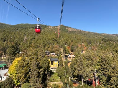 The image displays an outdoor scene depicting a cable car system ascending a densely forested mountain under a clear, unobstructed blue sky. The location is San Carlos de Bariloche, Argentina. In the central foreground, a red cable car gondola, marked with the number "28" on its side, is suspended from a pair of dark overhead cables. These cables extend diagonally upwards from the lower left to the upper right of the frame. Further along the ascent, multiple additional red gondolas are visible, including one approaching an orange metal support tower.

The steep mountain slopes are extensively covered by a mix of evergreen and deciduous trees. Patches of yellow and orange foliage from deciduous trees are interspersed among the dominant green evergreens, particularly in the mid-ground. Numerous residential buildings, primarily houses and cabins constructed with wooden exteriors and roofs of various colors (dark grey, green, red), are integrated into the forested hillside below the cable car line. A distinct bright yellow multi-story house is visible in the mid-lower right quadrant. No people are visible within the gondolas or on the ground. The scene is illuminated by direct sunlight, indicating clear weather conditions.