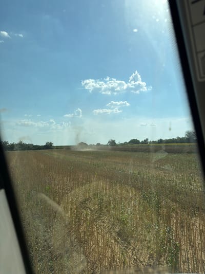 This is a landscape photograph taken from inside a vehicle, likely a tractor cab, looking out a windshield. The image is oriented vertically, with the sky occupying the left half and a field of crops filling the right. The sky is a clear blue with scattered white cumulus clouds. The sun is bright, casting lens flares and reflections on the windshield.
The right side of the image shows a harvested or drying crop, with rows of stalks that appear to be straw-colored and dry. There are some scattered green leaves still visible on the stalks. In the distance, along the horizon, is a line of trees. A plume of dust or smoke is rising from the field, suggesting an agricultural activity is taking place, possibly harvesting or tilling. The time of day appears to be late morning or early afternoon, given the bright sunlight and clear skies.
The overall setting is rural, consistent with farmland. The presence of the dust plume and the harvested field strongly indicate an agricultural activity in progress. There is no visible text in the image. The image conveys a sense of work and the natural environment.