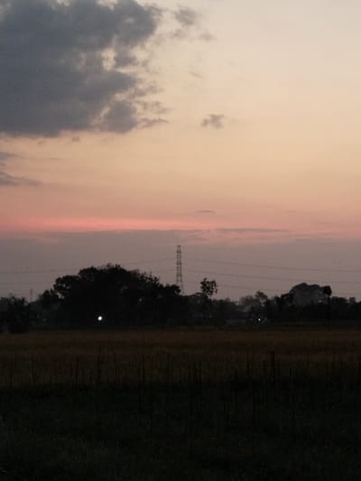 The image depicts a rural landscape at dusk, likely in Mojodoyong, Indonesia. The sky is a gradient of pale orange and pink, with a large, dark cloud formation dominating the upper left portion. In the middle ground, a silhouette of dense trees is visible, with a few faint lights suggesting human habitation. A tall electrical tower stands prominently behind the trees. The foreground is a dark, shadowy field, possibly containing crops or vegetation, with vertical elements that could be plant stalks or markers. The overall scene is serene and dim, characteristic of the twilight hours in a natural or semi-rural setting.