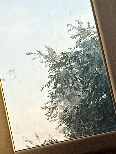 The image shows a view through a dirty window of a tree with green leaves. The window frame is visible on the right and left sides of the image. The sky is bright, suggesting it is daytime. The scene appears to be outdoors, with the tree suggesting a natural setting. There are no people visible in the image. The overall impression is that of a slightly hazy or overcast day, as the light is diffused. The dirt on the window creates a blurry effect, obscuring finer details of the tree and the sky. The presence of a window suggests an indoor perspective looking outwards. Given the provided location context of Dubossary, Moldova, this scene could be from a residential or public building in that area.