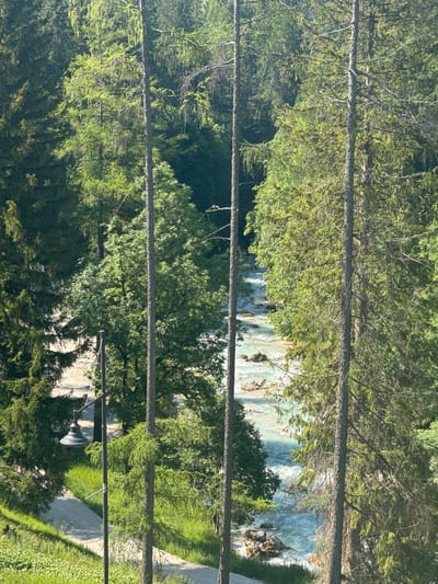 This image depicts a scenic view of the river Boite in Cortina d'Ampezzo, Italy. The crystal-clear turquoise water flows through a rocky bed, surrounded by lush green coniferous and deciduous trees. In the foreground, a pathway is visible, bordered by grass and a lamppost. The image is captured from an elevated perspective, looking down towards the river and through the dense forest. The sunlight illuminates the scene, creating a vibrant and natural ambiance.
