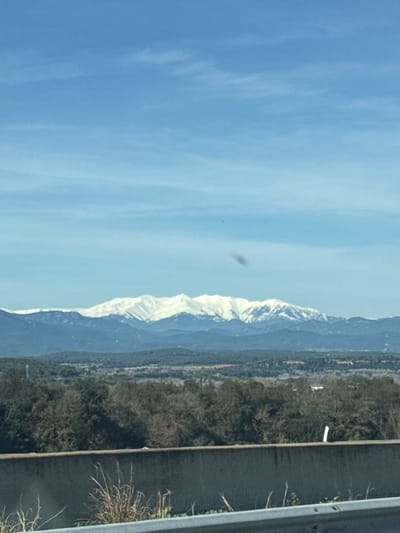The image displays a panoramic landscape scene, captured with a vertical orientation (portrait mode) but depicting a horizontal view. When viewed in the correct landscape orientation, the scene shows a vast expanse of sky, a distant snow-capped mountain range, and a foreground featuring a highway guardrail and vegetation.

The upper two-thirds of the image (or left side, if viewed vertically as provided) is dominated by a clear, bright blue sky with very faint, wispy white clouds. There is a prominent dark, oval-shaped smudge or artifact visible in the sky, slightly to the left of the center. Below this smudge, a tiny, almost imperceptible dark speck can be seen.

Stretching across the middle of the frame is a long, majestic mountain range. The peaks and upper slopes of these mountains are covered in bright white snow, indicating either winter or high altitude. The lower slopes of the mountains appear darker, suggesting areas of forest or rock without snow cover. The mountains recede into the distance, showing layers of blue and grey, typical of atmospheric perspective.

Between the mountains and the immediate foreground, there is a valley or foothills area. This section is largely covered in dark green to brown vegetation, consistent with trees or shrubs. There are no clear structures or prominent features visible in this midground, suggesting a natural or undeveloped landscape.

The lower part of the image (or right side, if viewed vertically) shows the immediate foreground, characterized by a metallic highway guardrail. The guardrail runs horizontally across the bottom right section of the frame, indicating the photo was taken from a vehicle or next to a road. To the right of the guardrail, there are patches of dry, light brown grass and some sparse, twiggy bushes, suggesting a roadside environment.

The lighting in the image suggests a bright, sunny day, likely during late morning or early afternoon, given the clear sky and the way the snow on the mountains is illuminated. The overall impression is one of a scenic drive through a mountainous region. There is no visible text in the image.