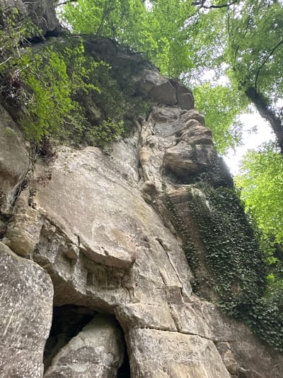 This is a low-angle, outdoor, full shot of a tall rock face in Consdorf, Luxembourg. The rock face is weathered and stratified, with visible cracks and crevices. A small, dark cave-like opening is present near the bottom left of the frame. The rock is partially covered with green ivy on the right side and small branches with green leaves are growing from the top and left. The canopy of lush green trees is visible at the top of the frame, with sunlight filtering through the leaves. The environment appears to be a natural setting, possibly a forest or a hiking area, given the presence of the rock formations and trees. There are no people or animals visible in the image.