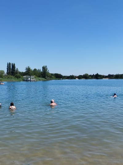 On a sunny day, several people are swimming in a lake. In the foreground, a woman with dark hair and a man with grey hair are partially submerged in the water. In the middle ground, another woman is swimming. In the background, across the lake, there is a wooden structure resembling a small pavilion, surrounded by reeds and trees. The sky is clear and blue. The scene appears to be at a recreational lake in or near Verbizh, Ukraine, a location known for its natural beauty and opportunities for outdoor activities.