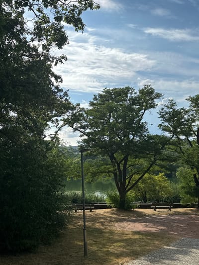 The image depicts a serene park scene in Stuttgart, Germany, likely during the daytime, given the bright sky and dappled sunlight. The foreground is dominated by lush green trees with dark bark, their branches reaching towards a partly cloudy blue sky. Wispy white clouds stretch across the sky, suggesting a pleasant, possibly breezy, day.
Beyond the trees, a tranquil body of water reflects the sky and surrounding greenery, creating a peaceful atmosphere. On the right side of the image, a paved pathway runs along the edge of the water, with a wooden park bench placed on the grass next to it, inviting visitors to rest and enjoy the view. The path itself is paved with small, light-colored stones, giving it a textured appearance. The grass in the park appears dry and somewhat sparse in places, hinting at a warm season.
In the background, more trees and foliage can be seen, and a hint of urban development with buildings is visible in the distance, suggesting the park is situated within or near the city. A vertical metal pole stands in the middle ground, likely a lamp post or part of a park's infrastructure. The overall impression is one of a well-maintained, inviting public space, perfect for relaxation and enjoying nature within an urban environment. No people are visible in the image.