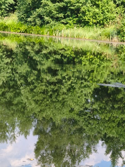 A vertical, medium shot captures the reflection of lush green trees and reeds on the surface of a calm body of water. The water's surface is disturbed by slight ripples, distorting the reflection and creating abstract patterns of light and shadow. In the upper portion of the water's reflection, a fishing float with orange and yellow bands is visible, suggesting a fishing activity is taking place. The scene is serene and natural, indicative of a peaceful outdoor setting. There are no people or buildings visible in the frame, only the natural elements of flora and water.