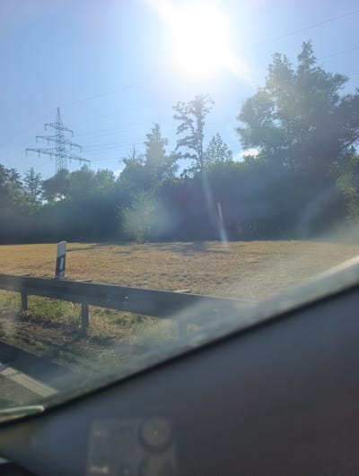 The image shows a sun-drenched, open field with dry, yellowed grass. A metal guardrail runs across the foreground, partially obscuring the view of the field. A black and white reflective road marker stands in the field. Behind the field, a dense line of trees forms a dark backdrop against the bright blue sky. In the distance, a large electricity pylon with power lines is visible against the sky. The sun is very bright, causing lens flare and a hazy effect over the scene. The lower part of the image is blurry, suggesting it was taken from a moving vehicle through a car window. The overall impression is of a rural or semi-rural landscape under a clear, sunny sky. The location is the city of Metzingen, Germany, likely along a road or highway.