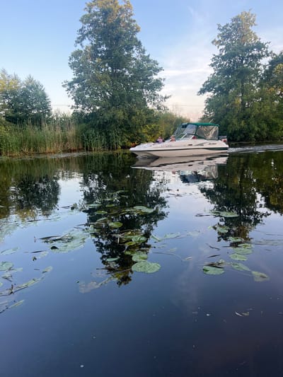 In Šyša, Lithuania, a white and green Hurricane boat with the registration number LT-12495 travels on a calm body of water. Two individuals are visible on the boat, one appearing to be steering. The boat is positioned on the right side of the frame, moving from left to right, and its reflection is cast upon the water's surface. The water is dotted with numerous lily pads, and small fish are visible swimming beneath them. On the left bank of the water, tall reeds and trees line the shore. The sky above is a clear blue with a soft, even light, suggesting it is either early morning or late afternoon. The overall scene depicts a peaceful, natural environment.