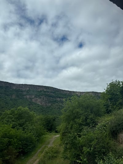 A scenic view captures a towering cliff face covered in dense green foliage, likely a part of the Debed Canyon in Tumanyan, Armenia. The cliff rises dramatically against a cloudy sky, with intermittent patches of blue visible through the white and grey clouds. The foreground is dominated by lush green trees and vegetation, with a dirt path winding through the landscape. The path appears to be a rural road, possibly for hiking or off-road vehicles. The overall impression is one of natural beauty and rugged terrain, characteristic of the region.