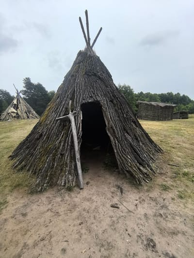 A cloudy, overcast day in Камянюцкі сельскі Савет, Belarus, illuminates a historical reenactment site. In the foreground, a large teepee constructed from rough bark stands prominently, its entrance dark and inviting. A wooden pole, seemingly a prop or tool, leans against the teepee's side. To the left and slightly behind, another, partially constructed teepee with a visible frame and covering of what appears to be canvas, is set against a backdrop of dense green trees. Further in the distance, several more primitive structures, appearing to be log cabins with thatched roofs, are visible across a field of dry, light brown grass. The ground is a mix of dirt and sparse vegetation, with some patches of mud or damp earth visible near the teepee. The overall scene depicts a historical dwelling site, likely a museum or an educational exhibit.