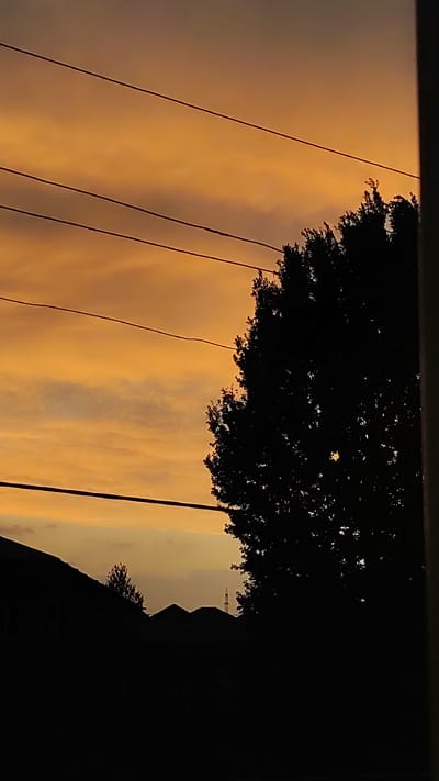 A silhouetted landscape is set against a vibrant orange and yellow sky, indicative of a sunset. Three dark power lines stretch horizontally across the frame from left to right, partially obscuring the cloudy sky. On the right side of the image, the dense silhouette of a large tree dominates the midground, its leaves and branches intricately detailed against the bright sky. Below the tree and the power lines, the dark silhouettes of rooftops and a few smaller trees create a stark contrast with the sky. In the far distance, a tall, slender tower-like structure is faintly visible, rising above the rooftops. The overall impression is a serene, somewhat dramatic scene, capturing the beauty of a sunset over a residential or semi-rural area, likely in Zhanadaur, Kazakhstan. The time of day is clearly sunset. The sky suggests fair weather with scattered clouds. There is no visible text.
