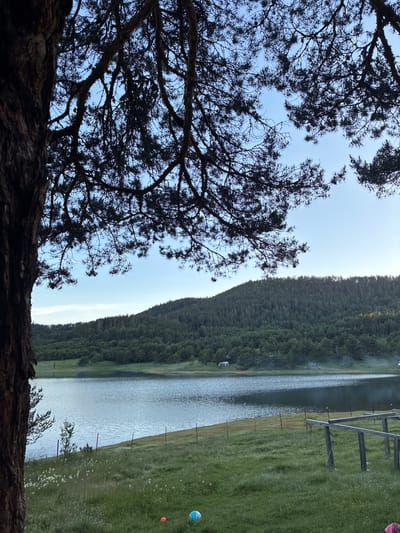 The image depicts a serene landscape with a lake in the foreground, a lush green hillside covered in pine trees in the middle ground, and a clear blue sky overhead. The scene is framed by the dark silhouette of pine branches and a large tree trunk on the left side of the image. In the distance, on the lake, a few small structures resembling tents or campers are visible. The foreground consists of a grassy meadow with a few scattered white flowers and a partial wooden structure. Two balls, one pink and one blue, are visible in the grass. The overall impression is one of a tranquil natural setting, possibly a park or a campsite. The location is identified as Sv. Konstantin, Bulgaria.