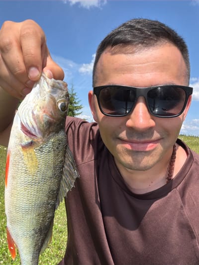 In Podshivalovo, Russia, a close-up, selfie-style photograph captures a man holding a freshly caught fish. The man, wearing sunglasses and a brown t-shirt, smiles as he displays the fish, which has green and yellow scales and a bright red fin. The background is a blurry expanse of green grass under a bright blue sky with scattered white clouds. A hint of a pine tree is visible behind the man's left shoulder, suggesting an outdoor, possibly rural or semi-rural, setting. The man's right hand is positioned to hold the fish, while the rest of his body is cropped from view.