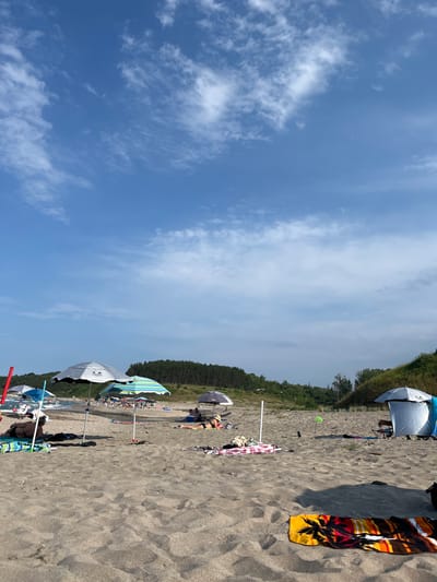 This media file depicts a sunny day at a beach in Ahtopol, Bulgaria. The scene is dominated by a wide expanse of sandy beach, with a line of trees forming a backdrop. Several beach umbrellas are set up, providing shade for beachgoers. A few people are visible, some lounging under the umbrellas, while others are either walking or preparing to relax. One person is lying on a towel, wearing a bikini and a sun hat, appearing to be sunbathing or relaxing. Another person is sitting on the sand, also near an umbrella. A brightly colored towel with a palm tree design is laid out on the sand, suggesting a leisurely day at the beach. The sky is mostly blue with some scattered white clouds, indicating fair weather. The time of day appears to be midday, given the bright sunlight casting shadows on the sand. The overall atmosphere is one of relaxation and enjoyment of a summer day at the seaside. No visible text is present in the image.