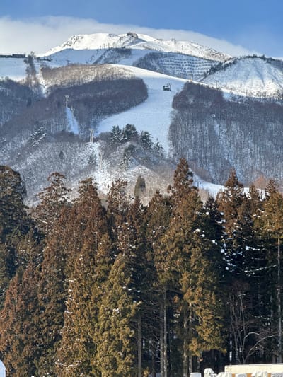 A mountain covered in snow appears on the left side of the image. Ski lifts and slopes are visible. Adjacent to the snow-covered mountain, trees extend from the bottom to the top of the frame, covered in shades of brown and green. Some trees have patches of snow. The sky is visible on the left side. The photo appears to be rotated counter-clockwise.