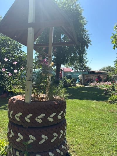 The image depicts a sunny day in the city of Konop, Bulgaria, with a focus on a garden. In the foreground, three stacked car tires painted dark brown with white chevron patterns serve as a planter. They are filled with soil and various plants, including green foliage and pink and yellow flowers. A wooden structure with a slanted roof supported by white posts stands over the planter. Vines are seen growing on one of the posts. Behind the planter, a lush green lawn extends into the background, where more vegetation, including trees and bushes with pink flowers, is visible. A red lawnmower is partially visible on the left. Further in the background, a brick wall with a metal fence encloses a section of the garden. A person in a red shirt can be seen near a building with a red tiled roof. Another structure with a corrugated metal roof and a blue tarp is also present. The sky is clear blue.