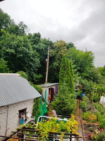 The image depicts a private backyard in Starosemeikino, Russia, under an overcast sky. In the foreground, a portion of a white brick outbuilding with a gray metal roof is visible, along with a wooden pergola covered in vibrant green and yellow foliage. Adjacent to the outbuilding is a small, brick shed with a dark purple door and some firewood stacked inside.

To the right of the outbuilding, a tall, slender green conifer tree stands prominently. Further into the backyard, a narrow brick pathway leads through a garden area filled with various plants, including rose bushes in bloom with pink and orange flowers. Various garden tools and equipment, such as green netting, a blue barrel, and a garden chair, are scattered throughout the scene. A concrete utility pole with wires runs vertically through the middle ground, partially obscured by dense green trees that form a backdrop to the property. The overall impression is of a functional, somewhat unkempt, residential garden, likely experiencing damp weather as indicated by the overcast sky and potential light precipitation.