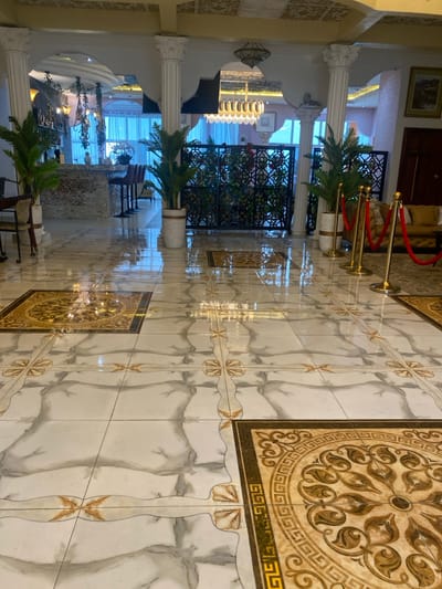 The image shows an interior hallway with ornate white marble floors, white walls, and decorative gold accents. Two potted palm trees stand on either side of a large doorway with a decorative black metal screen. The hallway is located within an establishment in Buea, Cameroon at the coordinates latitude: 4.145, longitude: 9.23. There are no people in the image, however, there are a few chairs and tables to the left of the doorway. There are a set of gold stanchions and red velvet ropes running parallel to the doorway. The floor is polished and reflects the light from overhead.