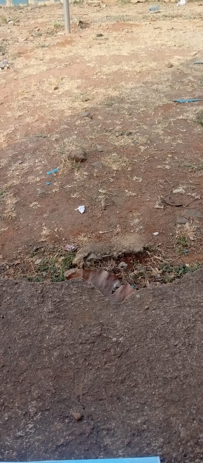 The image presents an outdoor ground scene, divided between an upper, lighter-toned area of reddish-brown dirt and a lower, darker, coarse-textured foreground surface.
The upper portion of the image shows an unpaved expanse of dry, dusty earth sparsely covered with withered grass and small rocks. Scattered throughout this area are pieces of litter, including fragments of blue plastic and a crumpled piece of white paper or plastic. A vertical, grey metal pole is visible towards the upper left, partially obscured by the background.
The foreground features a solid, dark, rough surface, likely concrete or deteriorated asphalt. This surface has a distinct V-shaped break or eroded edge that leads into a slightly recessed area. Within this recession, between the two ground types, is a visible collection of debris, including a large, dry brown leaf and some patches of green vegetation growing amidst more dirt and small stones.
The lighting suggests it is daytime. The dry grass and dusty ground indicate arid conditions. The scene appears unkempt, devoid of human activity, and no text is visible anywhere in the frame.