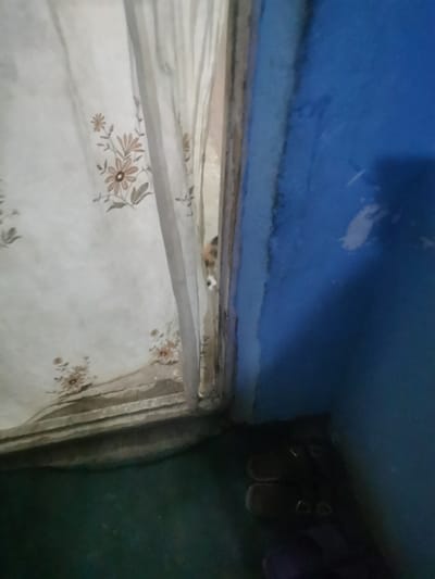 A calico cat peeks out from behind a sheer curtain patterned with small flowers and leaves. The curtain hangs in a doorway or opening, with a blue wall visible to the right. The blue wall appears to have some lighter patches, possibly from paint damage or plaster. In the lower right corner of the image, two pairs of sandals are visible on a dark green floor. The lighting suggests it is indoors, possibly during the day, but the overall ambiance is dimly lit. The scene appears to be in a residential setting, given the presence of the curtain, wall, and sandals. There is no visible text in the image.