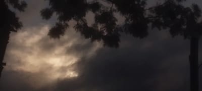 The image displays a dramatic sky, heavily laden with dark, dense clouds. A significant portion of the left-central sky is illuminated by a bright, warm, yellowish-white light breaking through the cloud cover, creating a stark contrast with the surrounding shadowy clouds. This illumination suggests either sunrise or sunset, or possibly moonlight piercing through a thick overcast.
Silhouetted against the sky are the dark forms of tree branches and foliage, framing the scene from the top and extending down the left and right sides. A prominent, dark, vertical tree trunk or thick branch is visible along the far right edge of the frame. Within the brighter cloud area, a small, dark, indistinct speck, possibly a distant bird or airborne object, is faintly visible. The scene captures a moment of dynamic weather, characterized by a heavily clouded atmosphere in Ndenderu ward, Kenya. There is no visible text in the media file.
