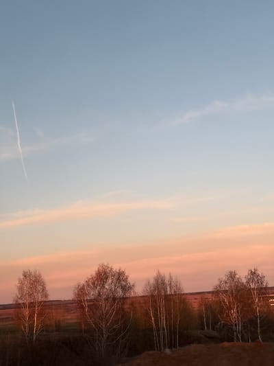 The image shows a landscape at Камаево, Russia. A clear, light blue sky occupies most of the frame. The right side of the image features a strip of land with trees, their bare branches silhouetted against a sunset sky. The sunset is composed of orange and pink hues, creating a gradient effect in the sky. The ground is dark, and the trees appear to be birch trees due to their distinctive white bark. A thin contrail of an airplane is visible in the light blue sky.