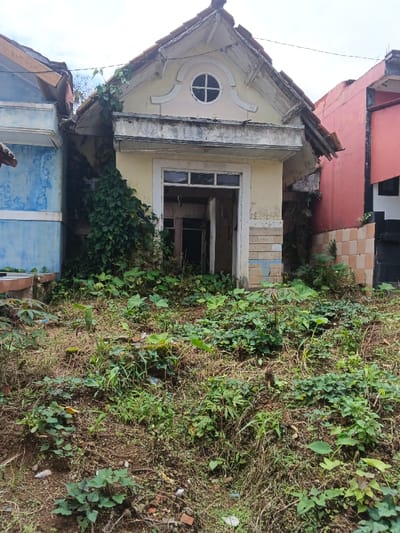 A dilapidated, single-story building stands overgrown with vegetation. Its facade is characterized by crumbling yellow paint, a circular window above the entrance, and missing roof tiles. The entrance, a dark void, reveals glimpses of interior rooms. The building is wedged between two others, one blue and one red, both appearing in better condition. The foreground is a dense, unkempt garden dominated by leafy plants and ground cover. The overall scene suggests abandonment and decay.