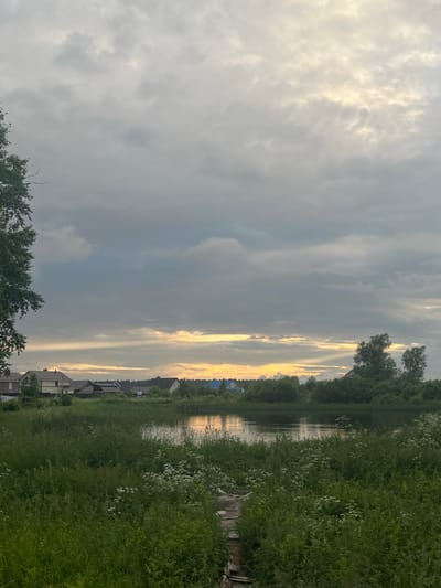 This is a vertical, landscape-oriented photograph taken outdoors in a rural setting, likely in Nikolskoye, Russia. The image appears to be captured during the late afternoon or early evening, as indicated by the soft, diffused sunlight breaking through overcast clouds.
The main subjects are the natural landscape and a small village. On the right side of the frame, dense green foliage, including tall grass and white wildflowers, lines the edge of a body of water. The water, reflecting the sky and trees, appears calm. Beyond the water, a line of houses with dark roofs is visible, suggesting a small settlement. Trees form a backdrop along the horizon. The sky is dominated by dramatic, grey clouds with streaks of bright yellow sunlight piercing through in the distance. The overall mood of the image is peaceful and somewhat serene, with a hint of the dramatic weather. There is no visible text in the image.