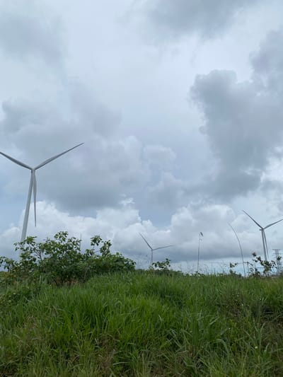 This image depicts a landscape with several wind turbines against a cloudy sky. The foreground is dominated by tall green grass. In the mid-ground, there is a small clump of green leafy bushes. Several wind turbines are visible; one prominent turbine is on the left, with its blades angled upwards. Other turbines are further in the distance. The sky is overcast with grey and white clouds. The location appears to be a rural or open area, likely a wind farm. It is not possible to definitively determine if the image is in Trường Thọ, Vietnam, based solely on the visual information provided.
