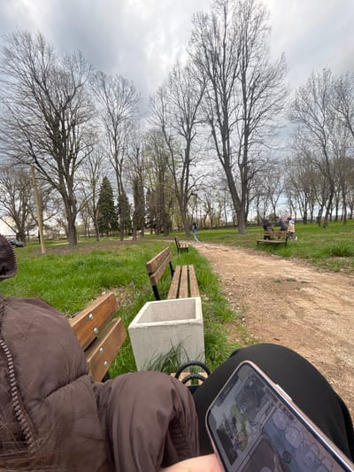 The image depicts a person sitting on a wooden park bench in what appears to be a park or green space. A phone is visible in the person's hand, displaying a digital image. In the background, there's a row of bare trees lining a dirt path, with people sitting on another bench further down the path. There are grass patches and concrete or stone structures near the bench the person is sitting on. The sky overhead is overcast. There is no indication from the image that the location is in the city of Gromshin, Bulgaria.