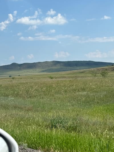 An outdoor, eye-level, wide shot captures a vast, rolling grassland under a bright blue sky dotted with fluffy white clouds. The foreground is dominated by tall, green grass with some dry stalks interspersed, creating a textured surface. In the mid-ground, the landscape continues to be covered in grass, with a few small, scattered trees and shrubs visible. A gentle slope rises towards the background, where a long, low mountain range stretches across the horizon. The mountain's surface appears layered and rugged, with distinct horizontal lines suggesting geological formations. The scene is peaceful and natural, evoking a sense of open space and rural tranquility. The image was taken in the city of Borodino, Russia.