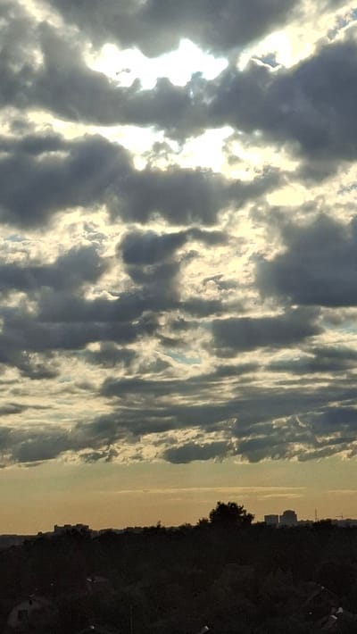 This is a vertical, low-angle photograph taken from Vidnoye, Russia, depicting a dramatic sky during what appears to be either sunrise or sunset. The sky is filled with dense, dark clouds interspersed with bright patches of sunlight breaking through, creating a sense of an impending storm or a clearing after rain. The light has a warm, golden hue.
To the right of the frame, the silhouette of a tree and a distant treeline is visible against the lighter sky, suggesting a semi-rural or suburban landscape. Further to the right and occupying the majority of the right side of the image is a dark, silhouetted area which appears to be a dense cluster of trees or possibly a dark building with some faint lights suggesting it is nighttime. In the far distance, on the horizon between the sky and the dark silhouette, a faint outline of buildings can be discerned, possibly indicating a town or city.
The overall mood is somewhat moody and atmospheric due to the dramatic lighting and cloud formations. No people or specific objects are clearly identifiable. The time of day is indicated by the quality of light and cloud cover, suggesting twilight hours. There is no visible text in the image.