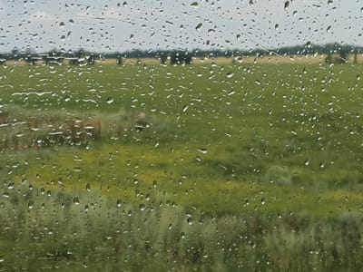 A photograph taken through a window covered in raindrops shows a blurred green landscape under a cloudy sky. The raindrops distort the view of a field with some yellow wildflowers and trees in the distance, creating a watery, impressionistic effect. There are no people, animals, or man-made structures clearly visible in the scene. The overall mood is serene and slightly melancholic, evoking a sense of quiet contemplation. The photograph does not appear to be taken in Malaya Tsarevshchina, Russia, as there are no identifiable landmarks or contextual clues to suggest this location.