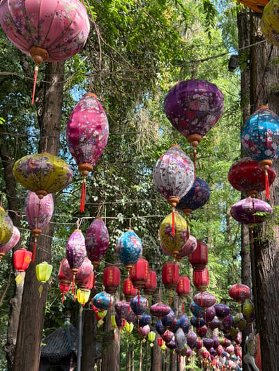 In the city of Qingyang District, China, numerous traditional Chinese lanterns are suspended from tree branches, creating a festive and vibrant atmosphere. The lanterns are in various shapes, sizes, and colors, including pink, purple, blue, red, and yellow. Many of them are adorned with floral patterns, adding to their decorative appeal. The lanterns are hung at different heights, with some closer to the viewer and others receding into the distance, creating a sense of depth. The background is filled with lush green trees, suggesting an outdoor setting, possibly a park or garden. The sunlight filters through the leaves, casting dappled light on the lanterns and the surrounding foliage. In the lower left corner, a glimpse of a traditional Chinese architectural structure, possibly a pavilion or temple roof, can be seen. There are no people visible in the image.
