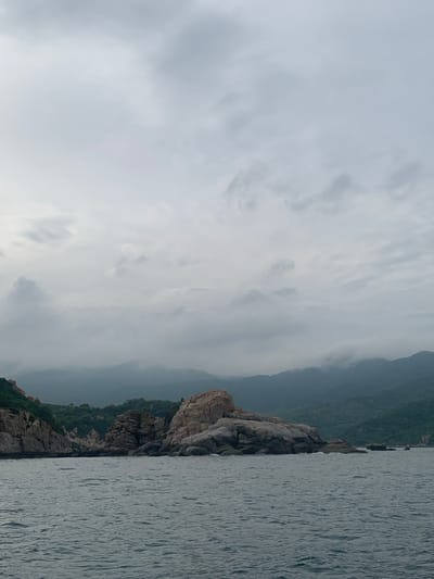 The image depicts a scenic coastal landscape with a rocky shoreline and the ocean. The scene is dominated by a large, jagged rock formation rising from the water's edge, with a verdant hillside covered in trees extending behind it. The sea is calm, with a textured surface reflecting the overcast sky. The sky itself is a muted gray, filled with soft, diffused clouds, suggesting a cloudy or possibly misty day. The overall impression is one of natural beauty and a serene, possibly cool, atmosphere. The image appears to have been taken from a boat or a vantage point at sea, looking towards the coast. The time of day is unclear due to the overcast conditions, but it does not appear to be dawn or dusk. There are no people or man-made objects visible in the image, focusing solely on the natural elements of the coastline, sea, and sky. The location context provided is Vinh Hai, Vietnam.