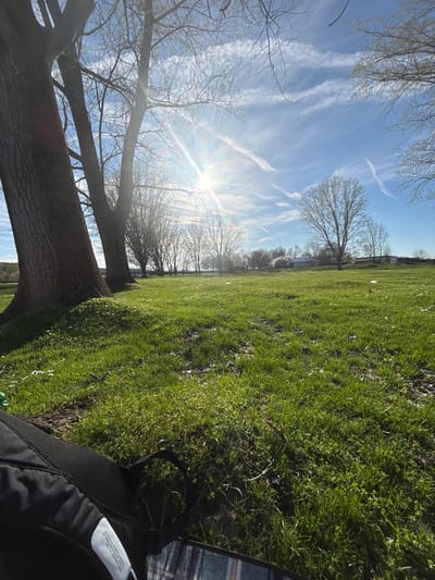 The scene is a grassy park on a sunny day in Beli Brod, Bulgaria. Bare trees reach toward a bright sun with streaks of blue sky visible. The grass is green and appears well-maintained. A backpack lies on the ground, partially visible in the lower right corner of the frame, obscuring a portion of the grass.